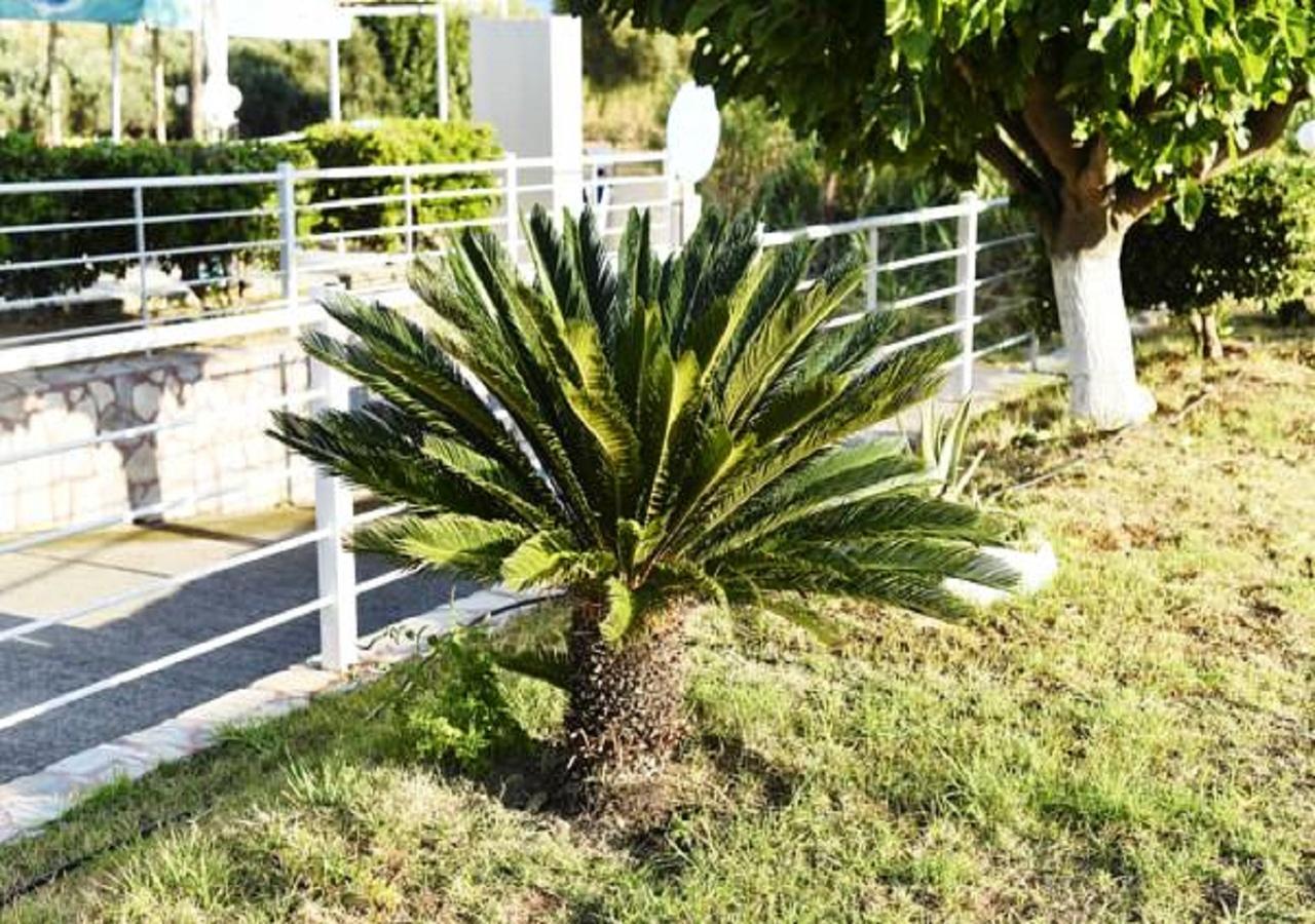 Andy'S Gardens Διαμέρισμα Γεράνι Χανίων Εξωτερικό φωτογραφία