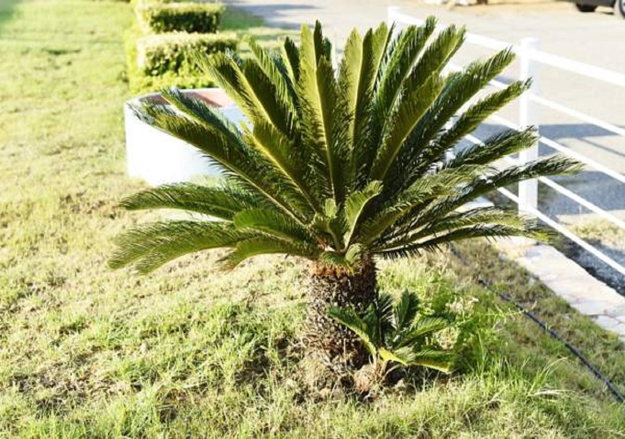 Andy'S Gardens Διαμέρισμα Γεράνι Χανίων Εξωτερικό φωτογραφία